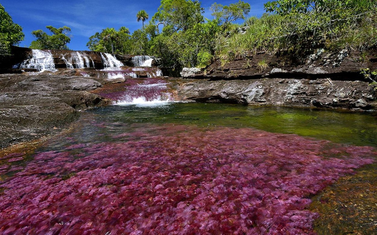 Подводный пейзаж