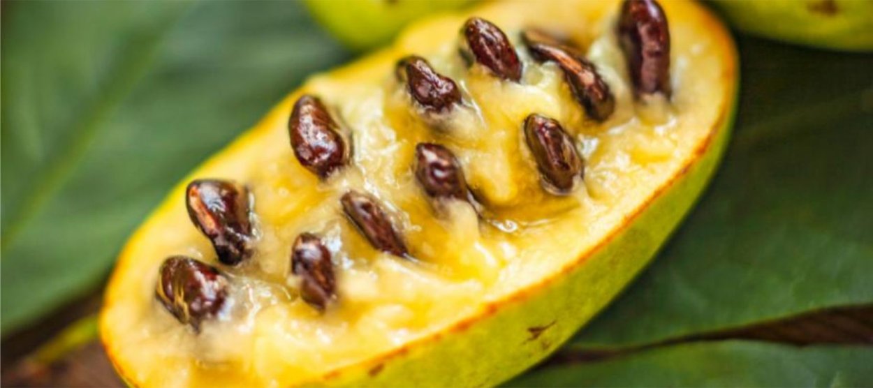 Азимина трилоба "Сибирское манго"