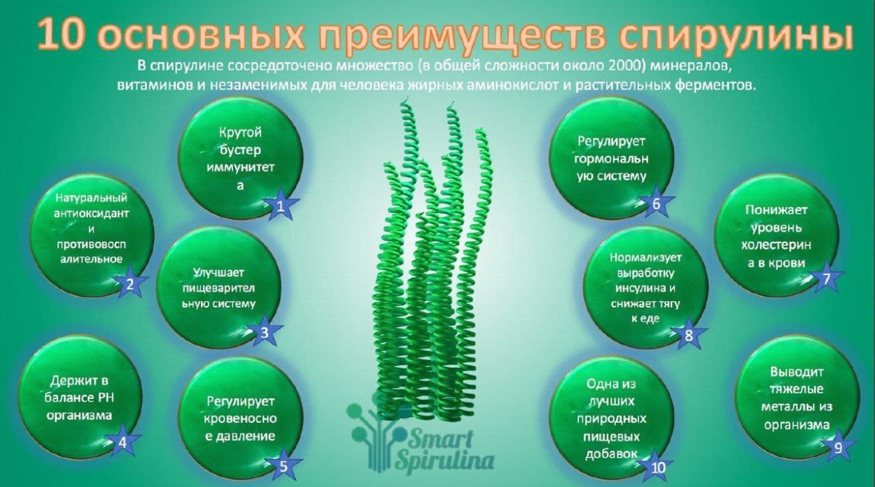 Спирулина полезные свойства