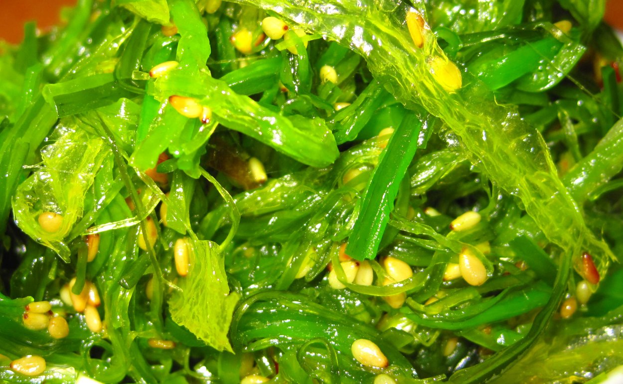 Вакаме водоросли