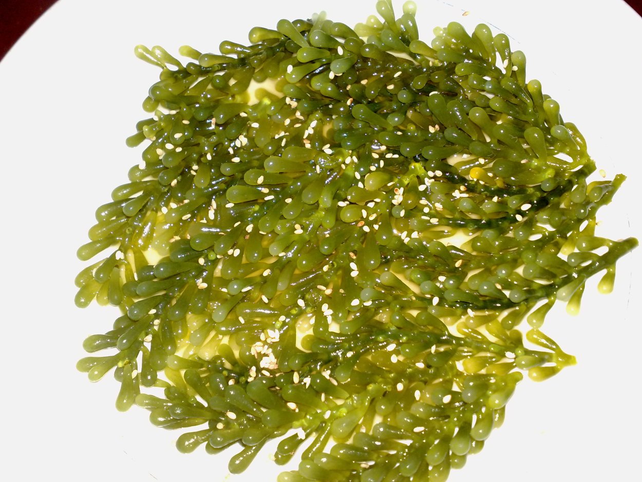 Корейские водоросли