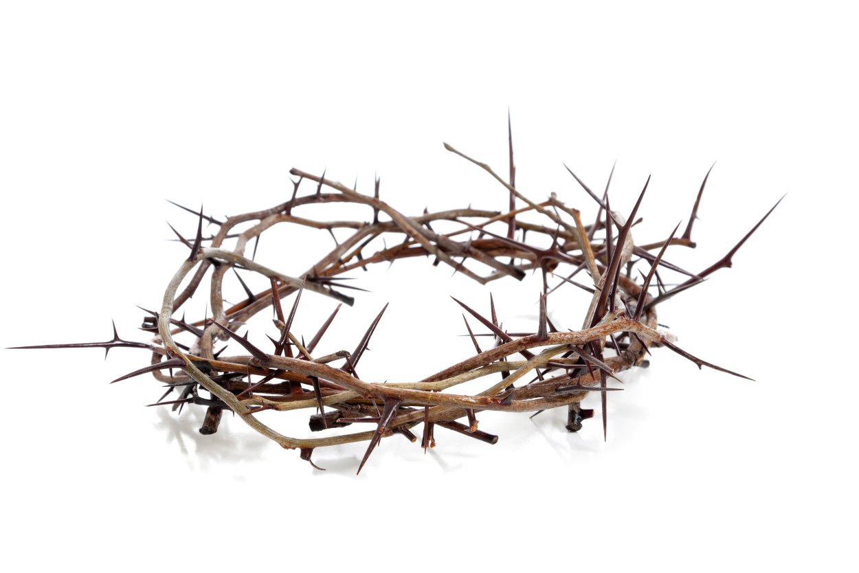 Терновый венец