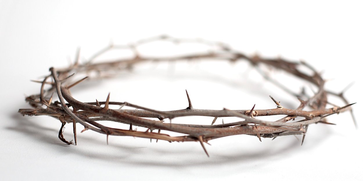 Терновый венок на белом фоне