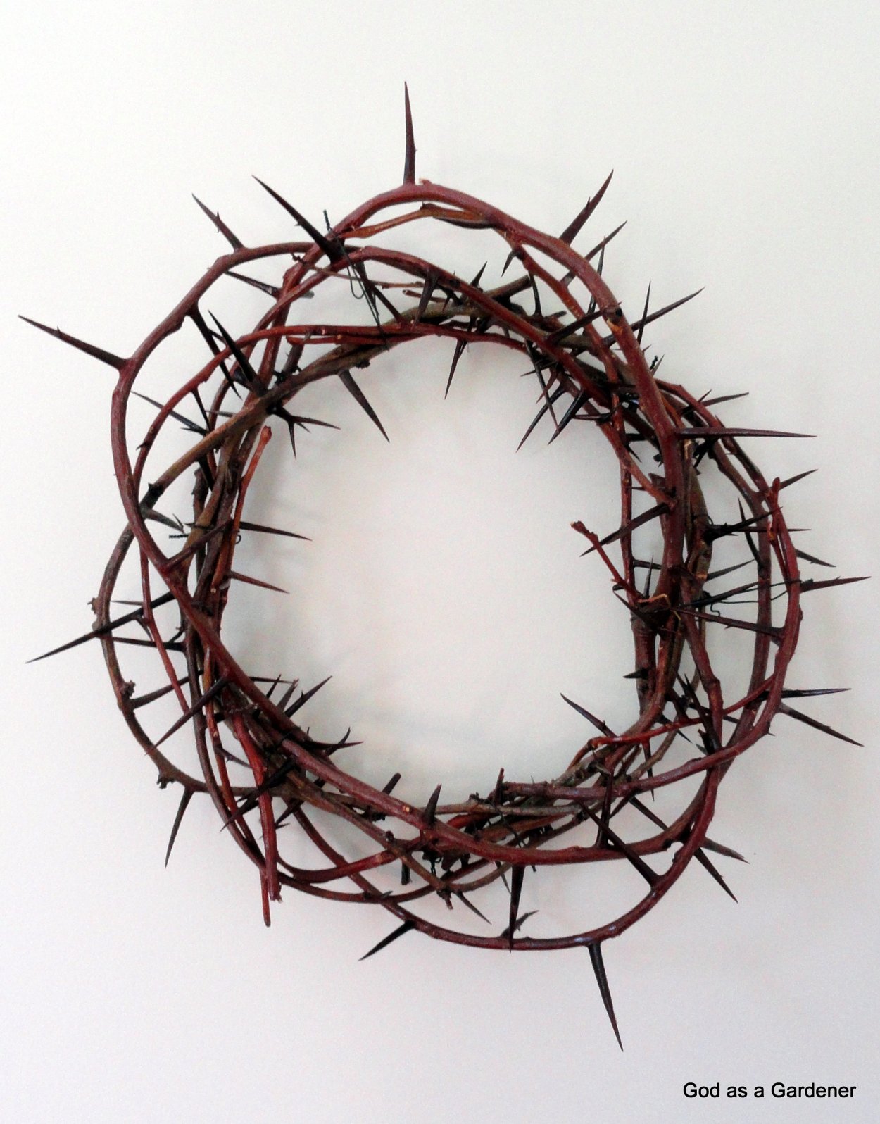 Сумерки природа