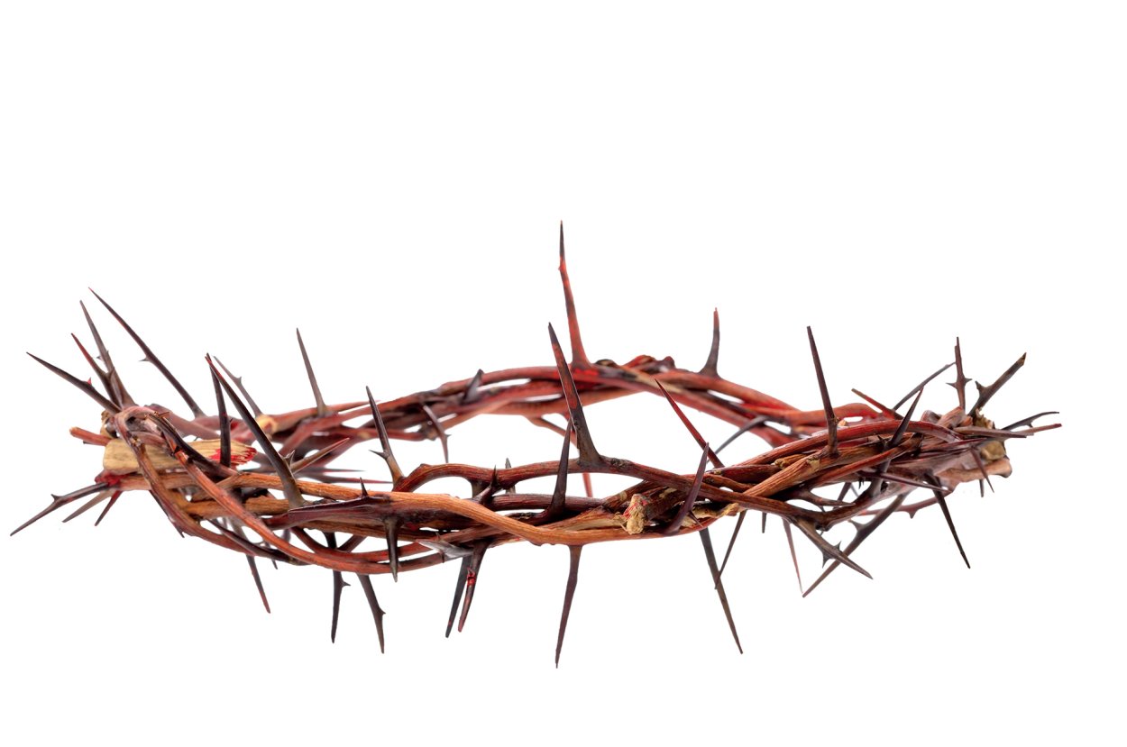 Thorny Bush стиль