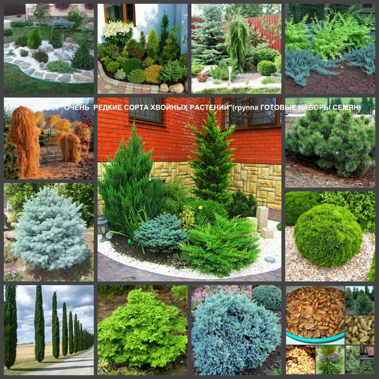 Лиственные деревья названия