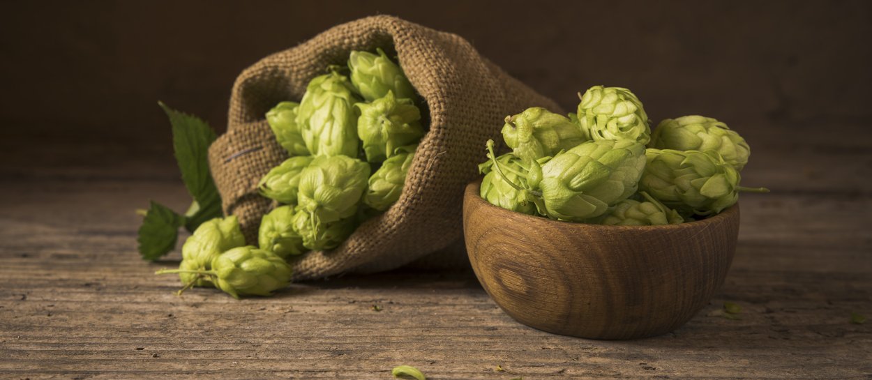 Хмель в еде