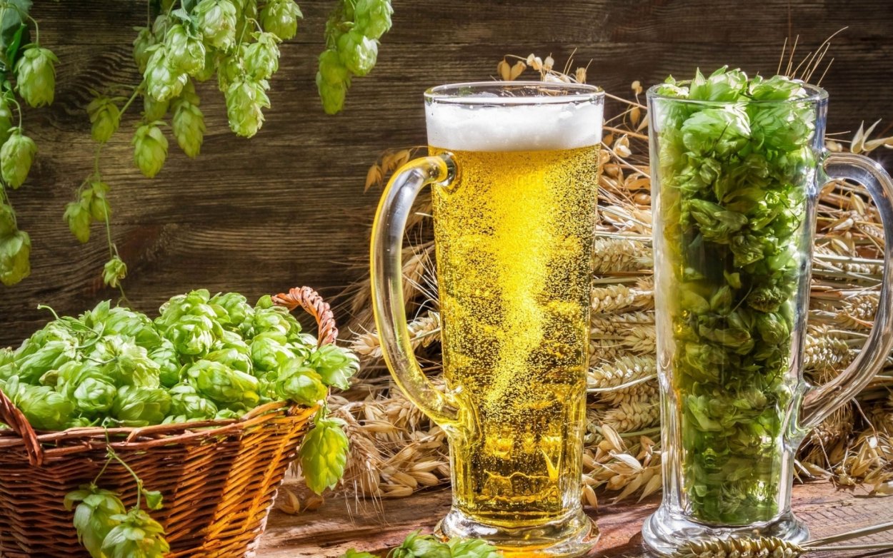 Хмель и солод пиво