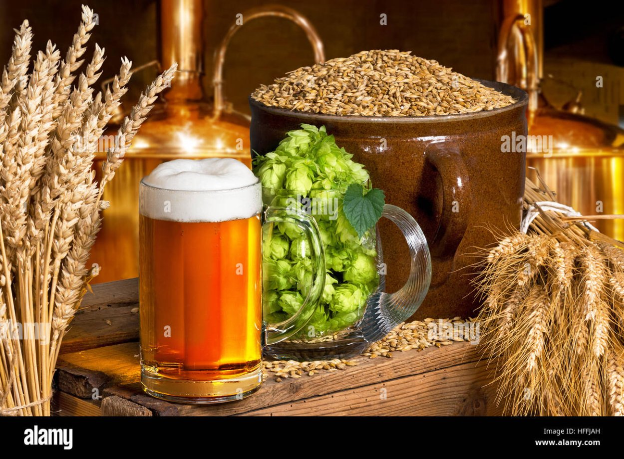 Ячмень пиво