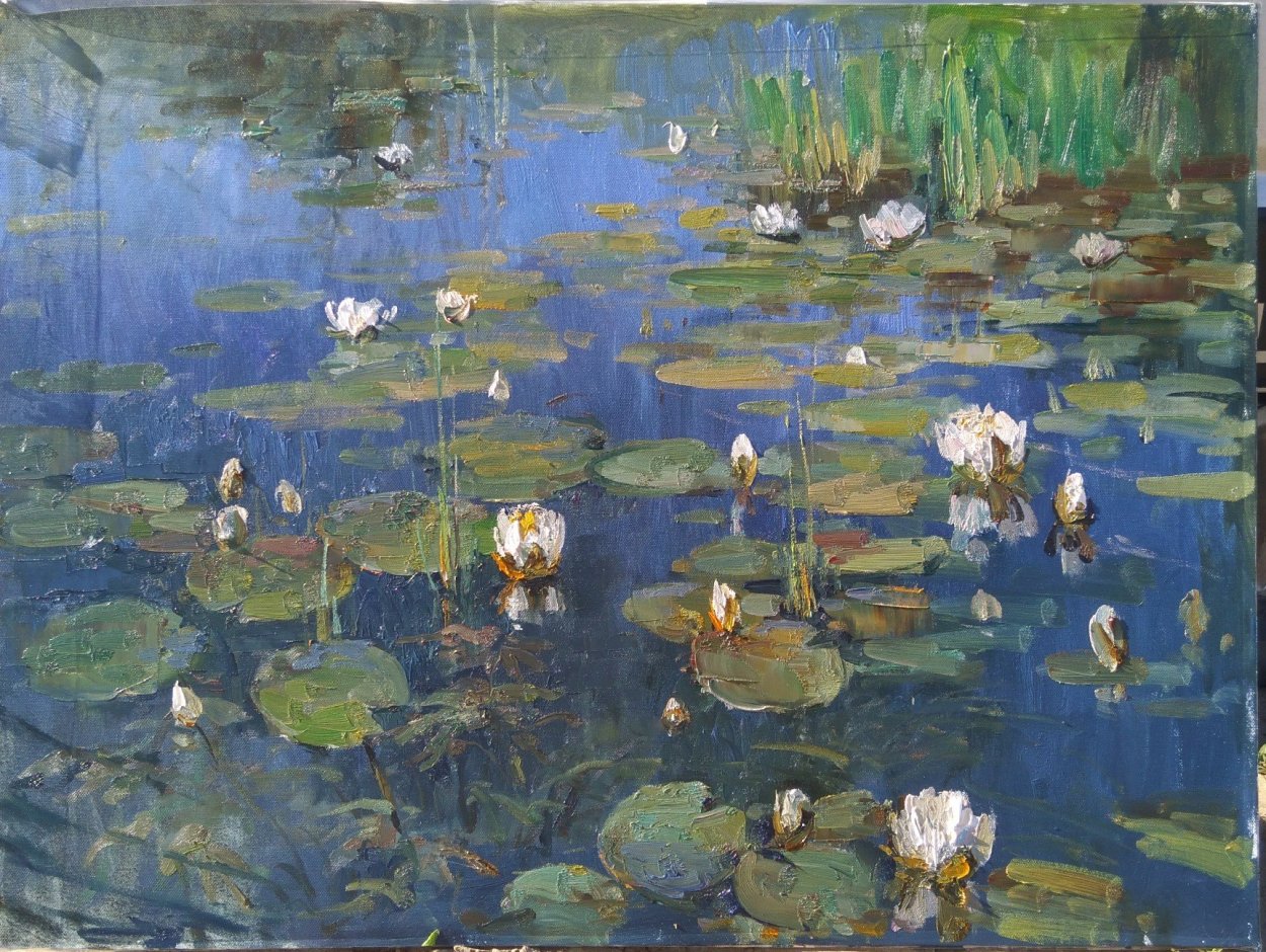 Болото с лотосами