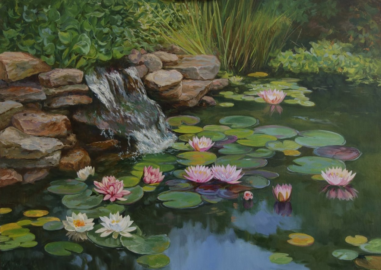 Прудик Аптекарский кувшинки