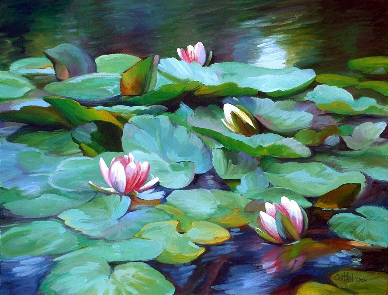 Цветок Лотос вода кувшинки Моне