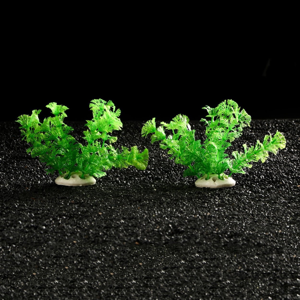 Безкорневые аквариумные растения