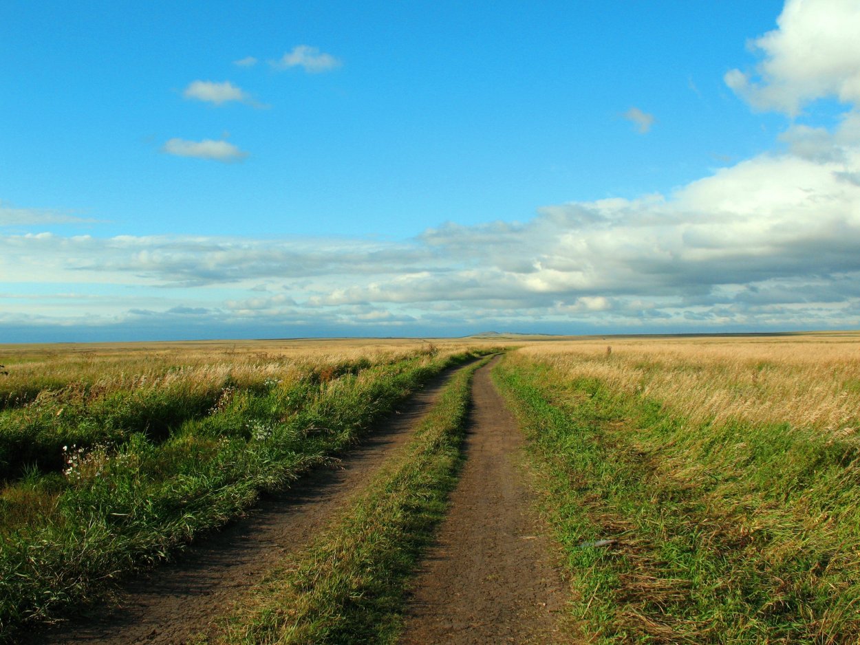 Казахстан трасса в степи