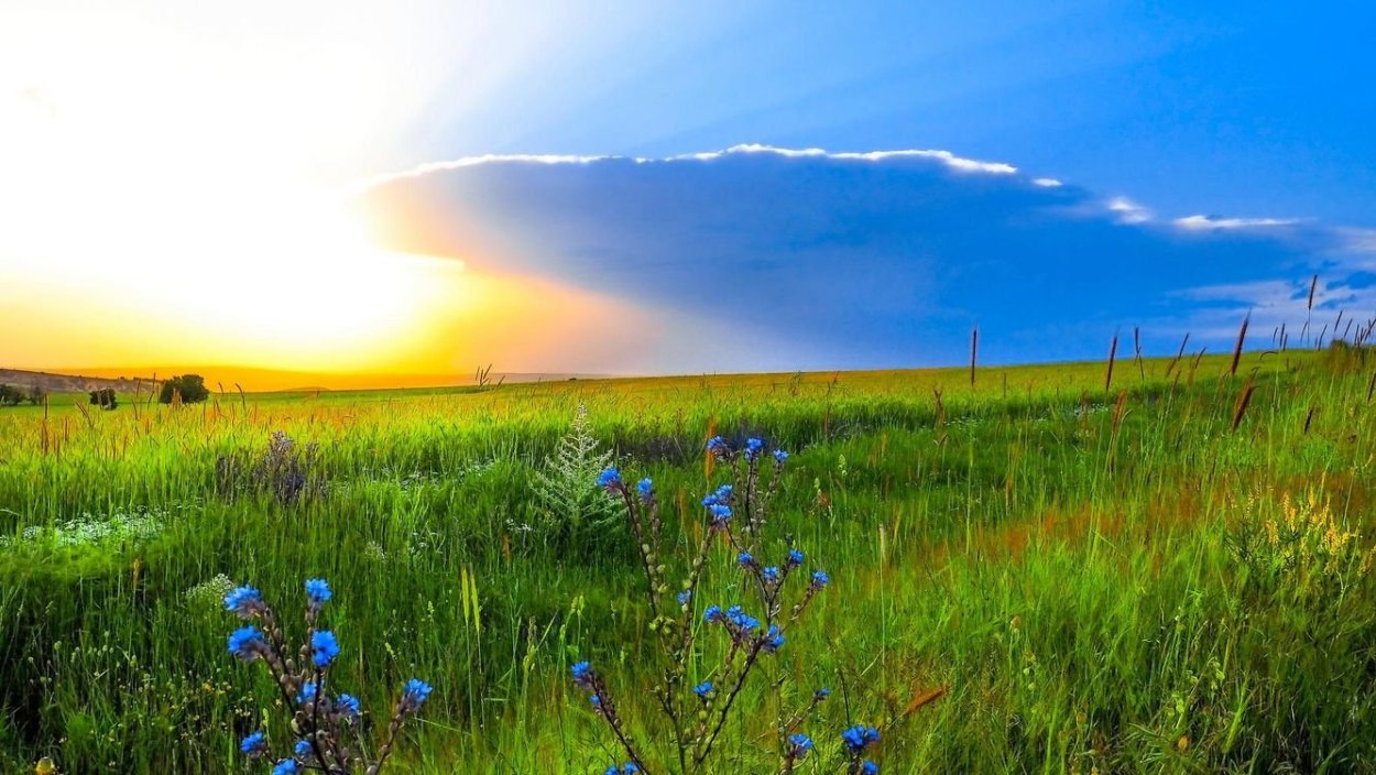 Степь голубое небо