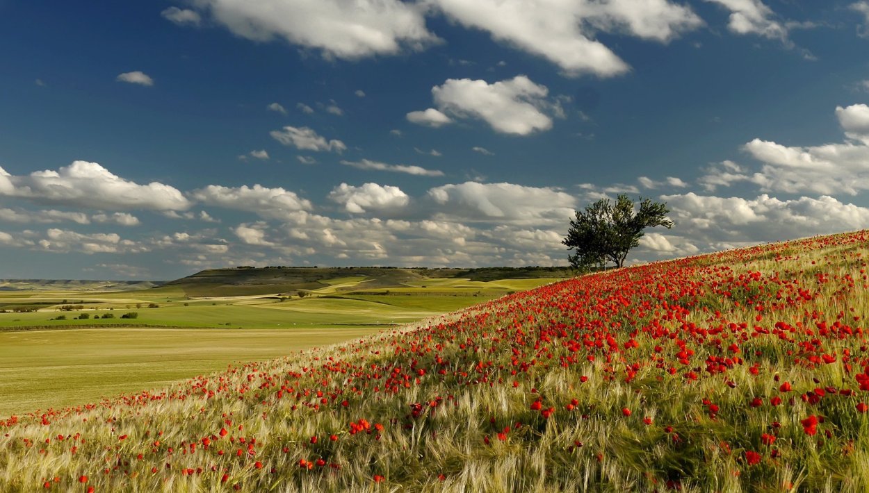 Федюнинские холмы