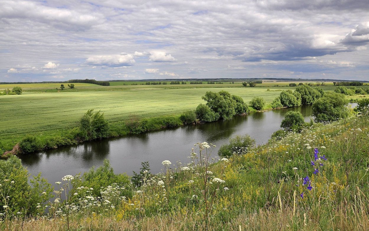Степи и суходольные Луга Кемеровской области