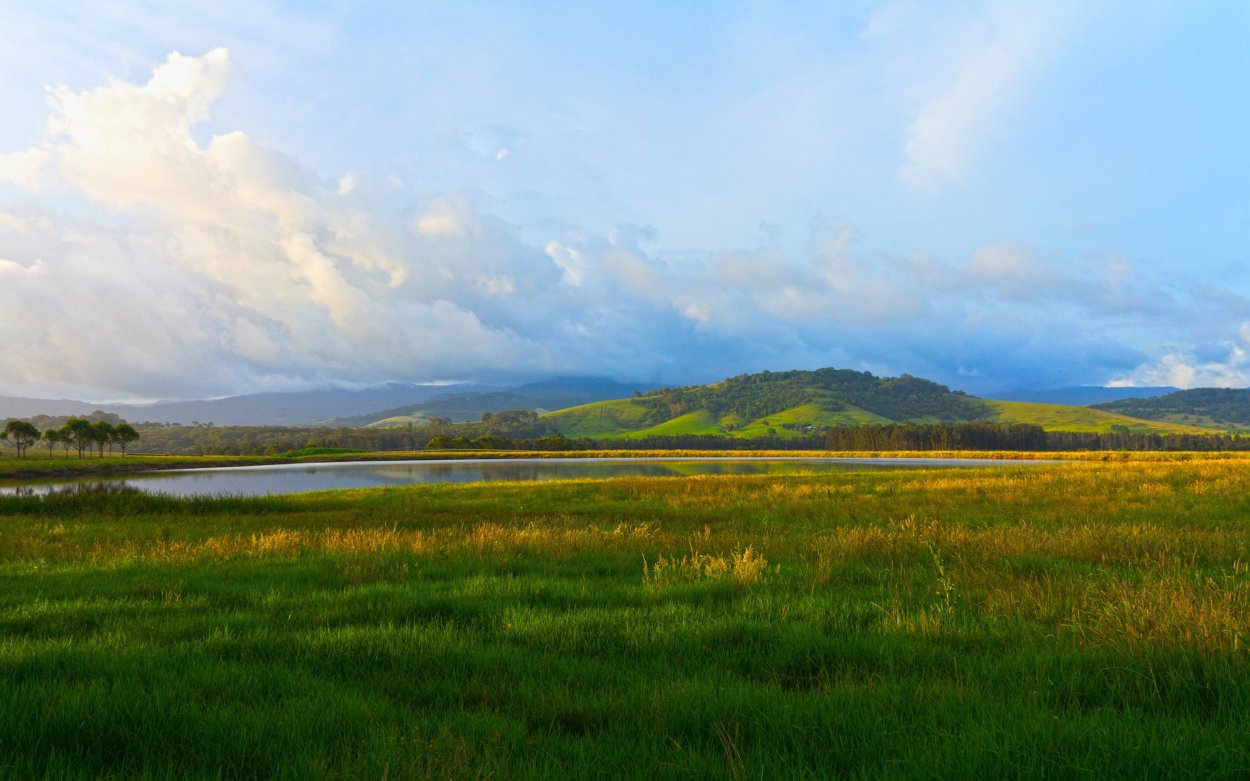 Поле вечером
