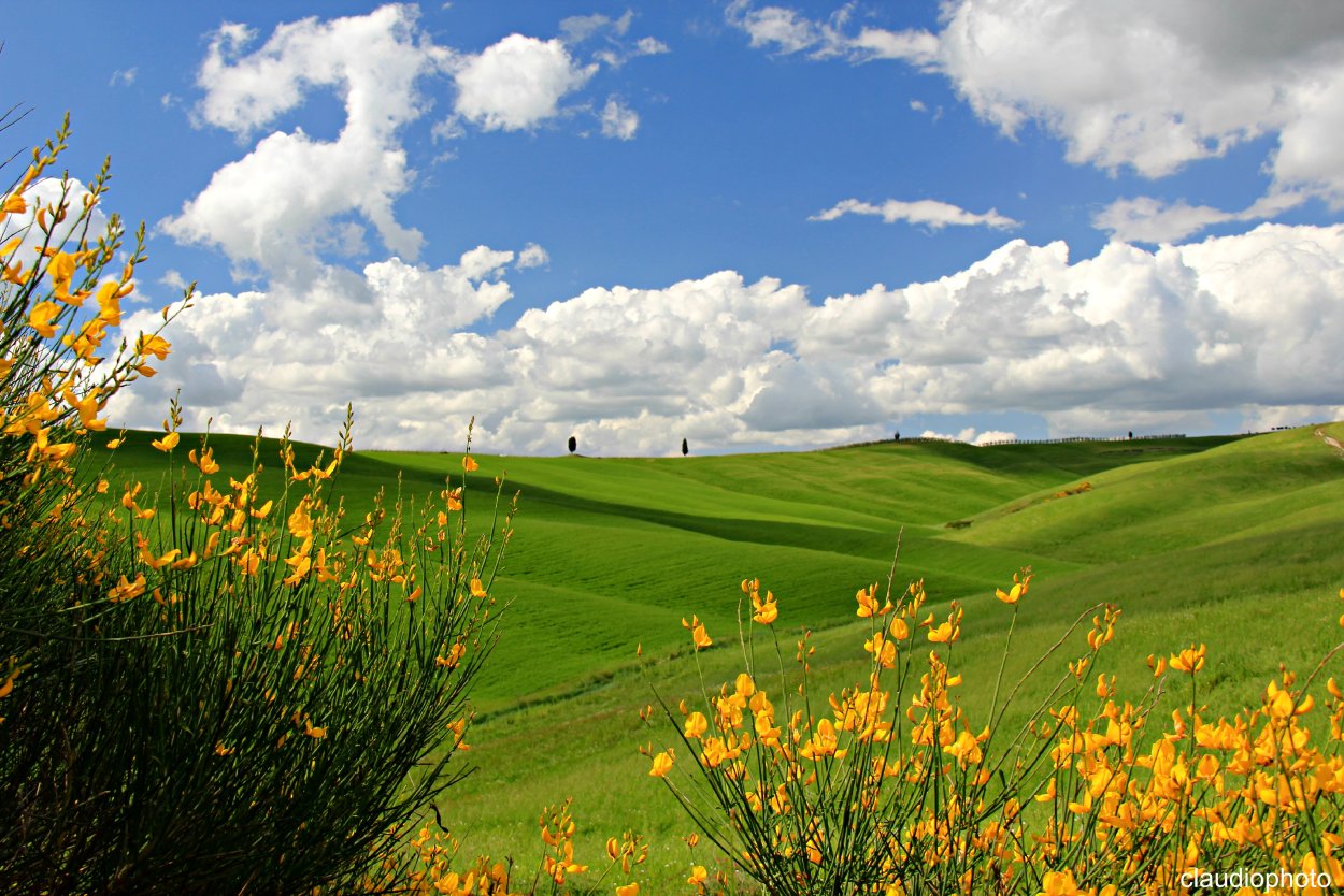 Италия Тоскана природа Весна