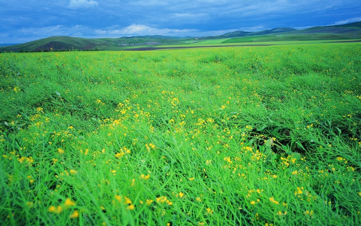 Степи Оренбургской области