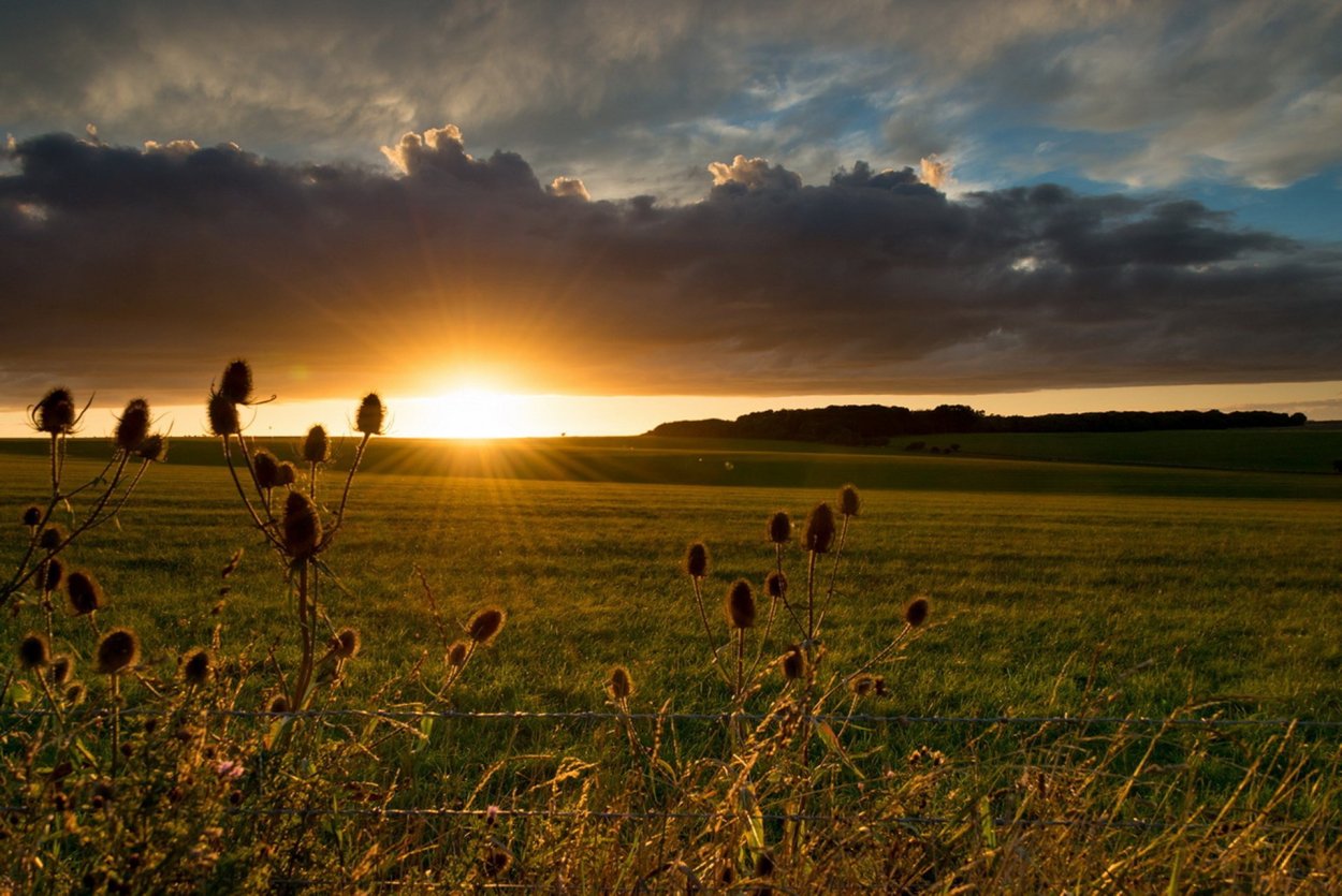 Приханкайская низменность