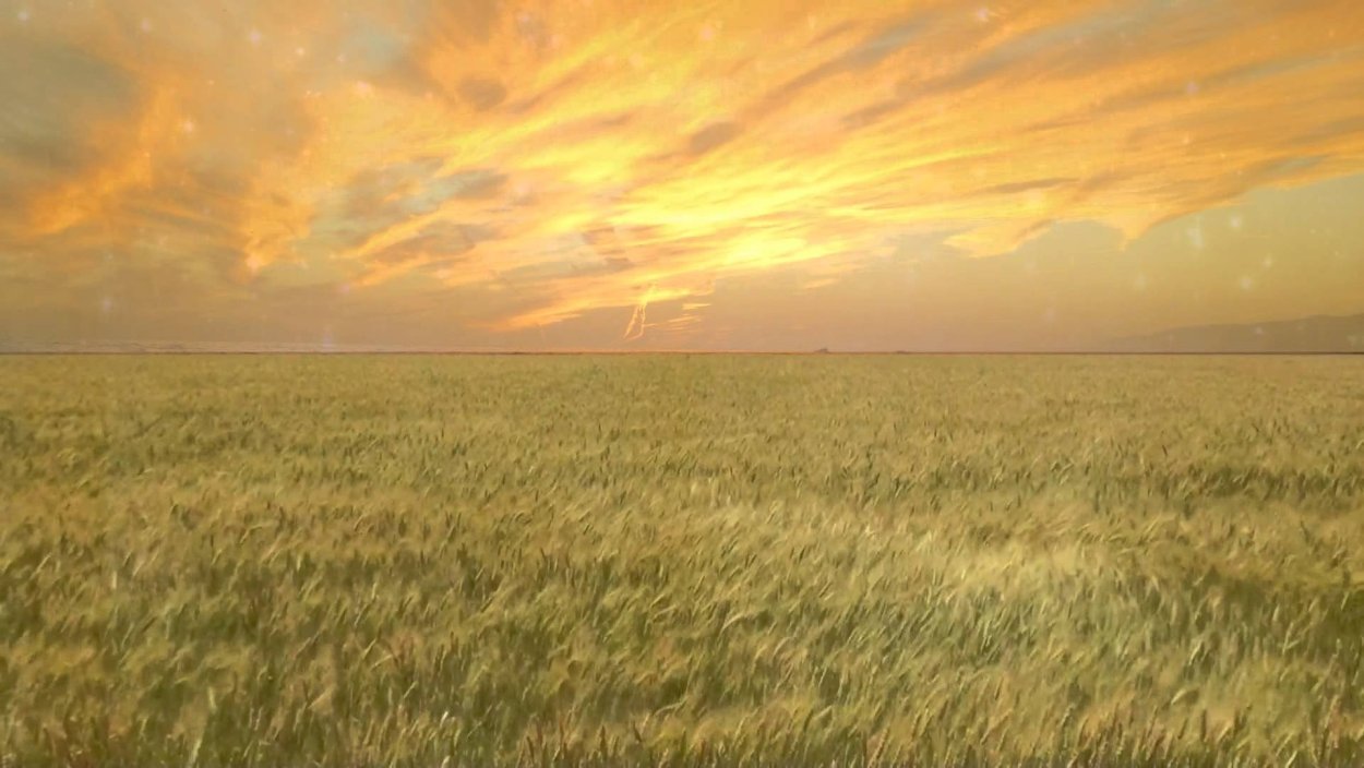 Прокопьевский район лес луг степь