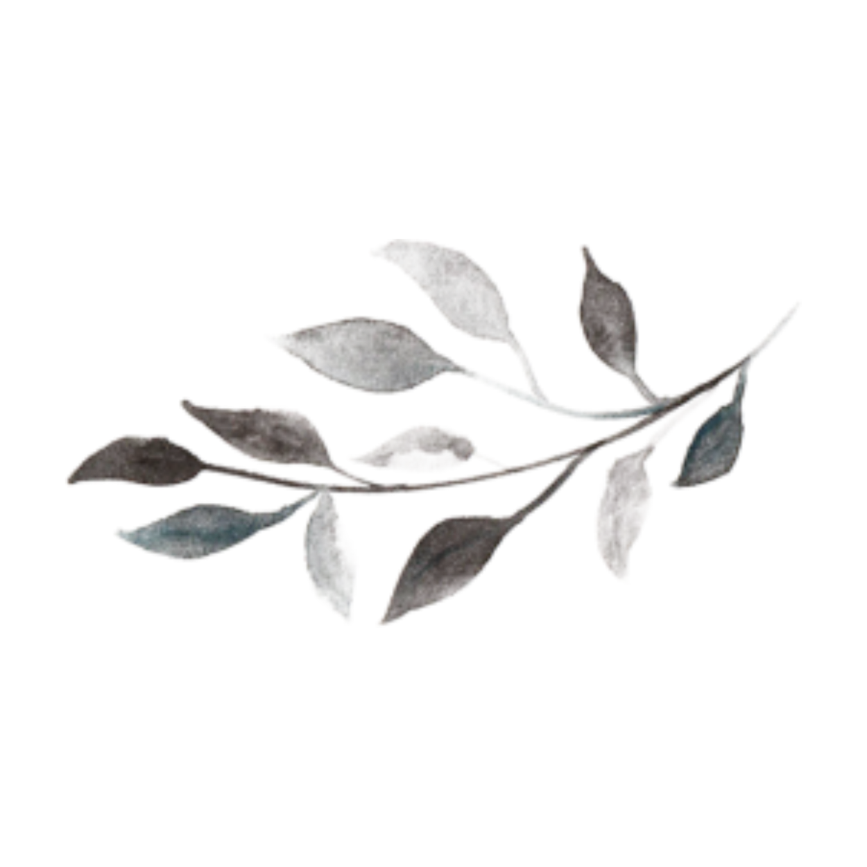 Веточка Эстетика