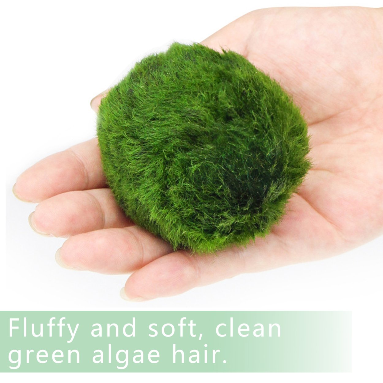 Моховые шарики