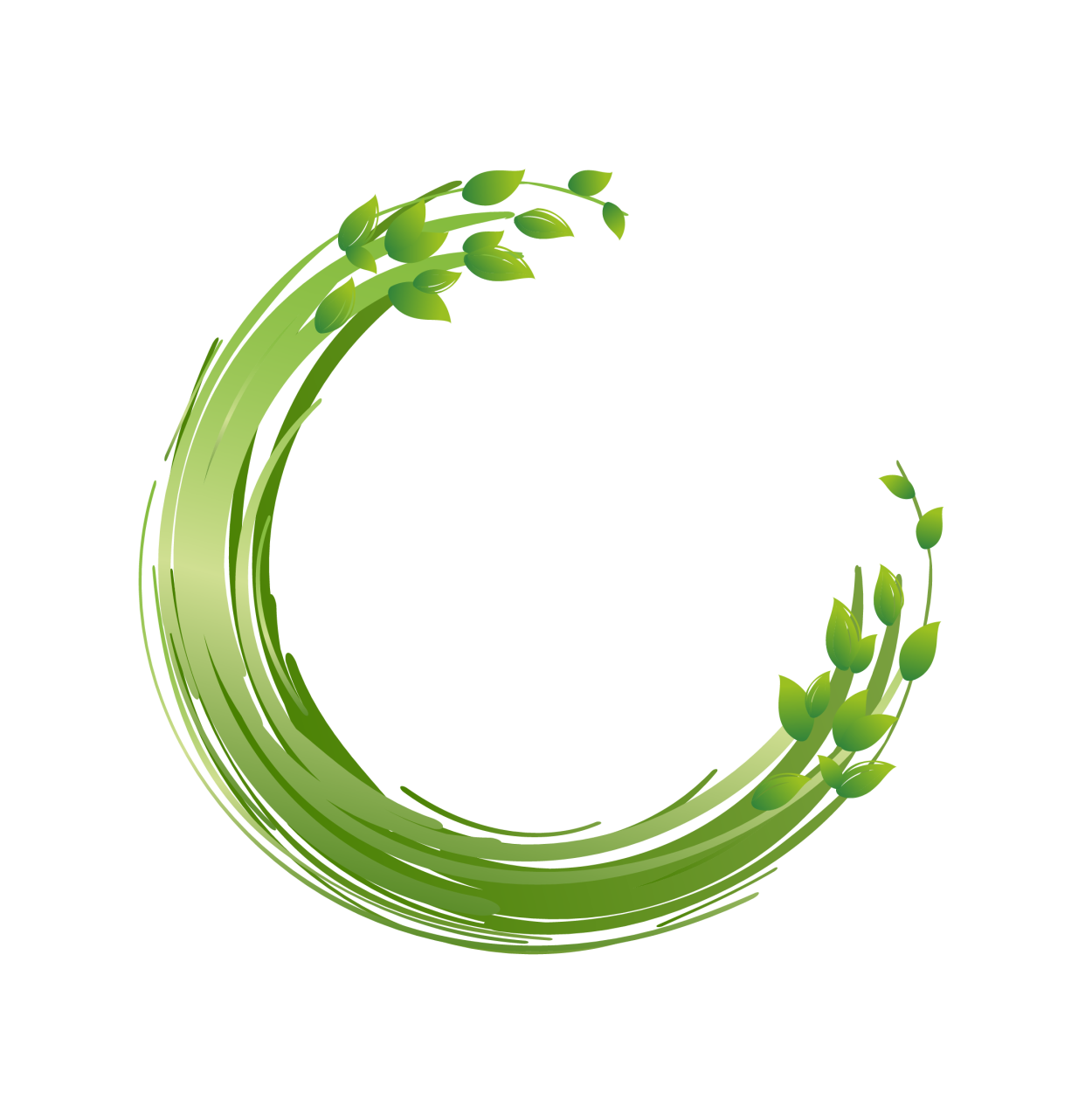 Зеленая круглая рамка