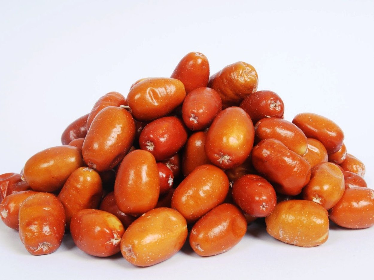 Шефердия канадская