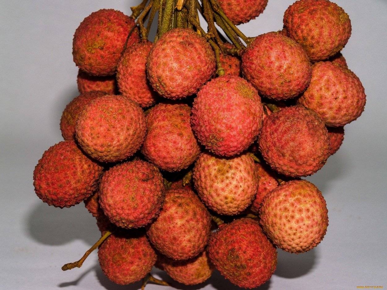 Китайская ягода личи