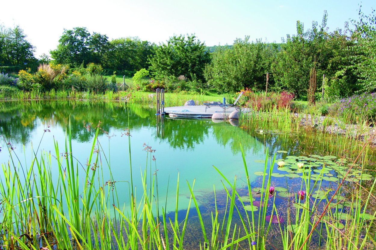 Биоплато Казань