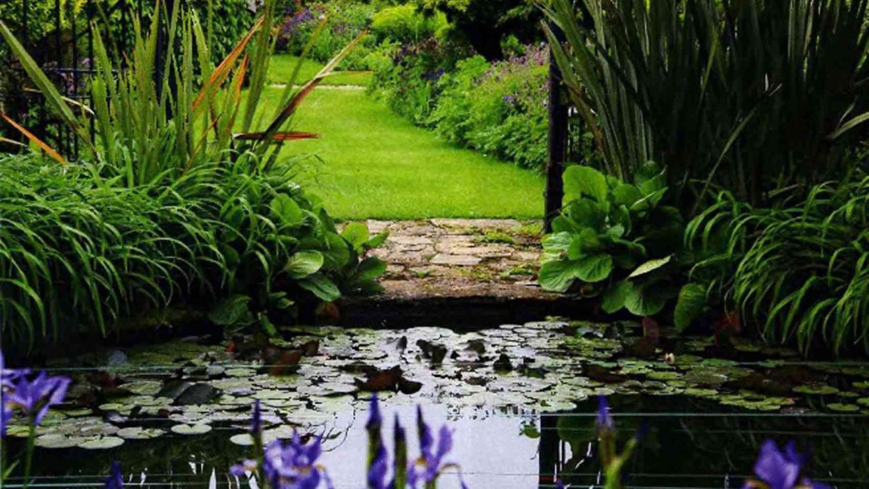 Цветы и кустарники возле пруда