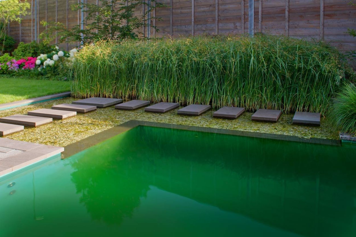 Каскад с биоплато