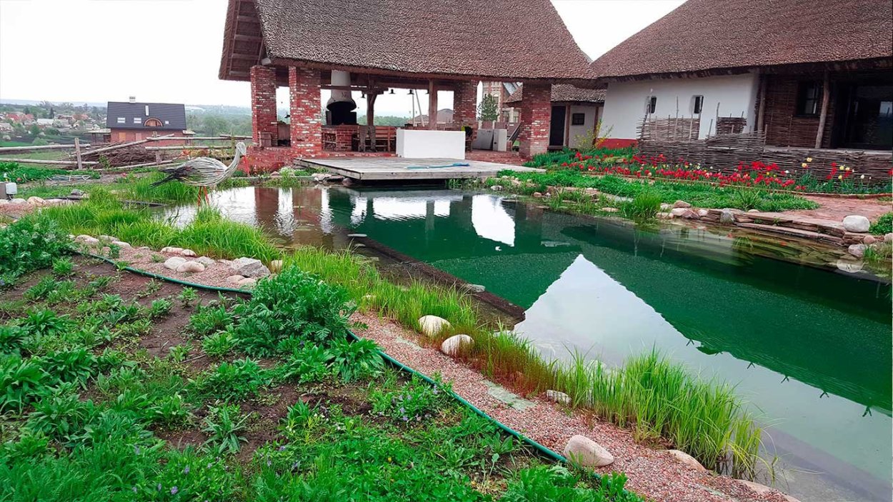 Ручей биоплато