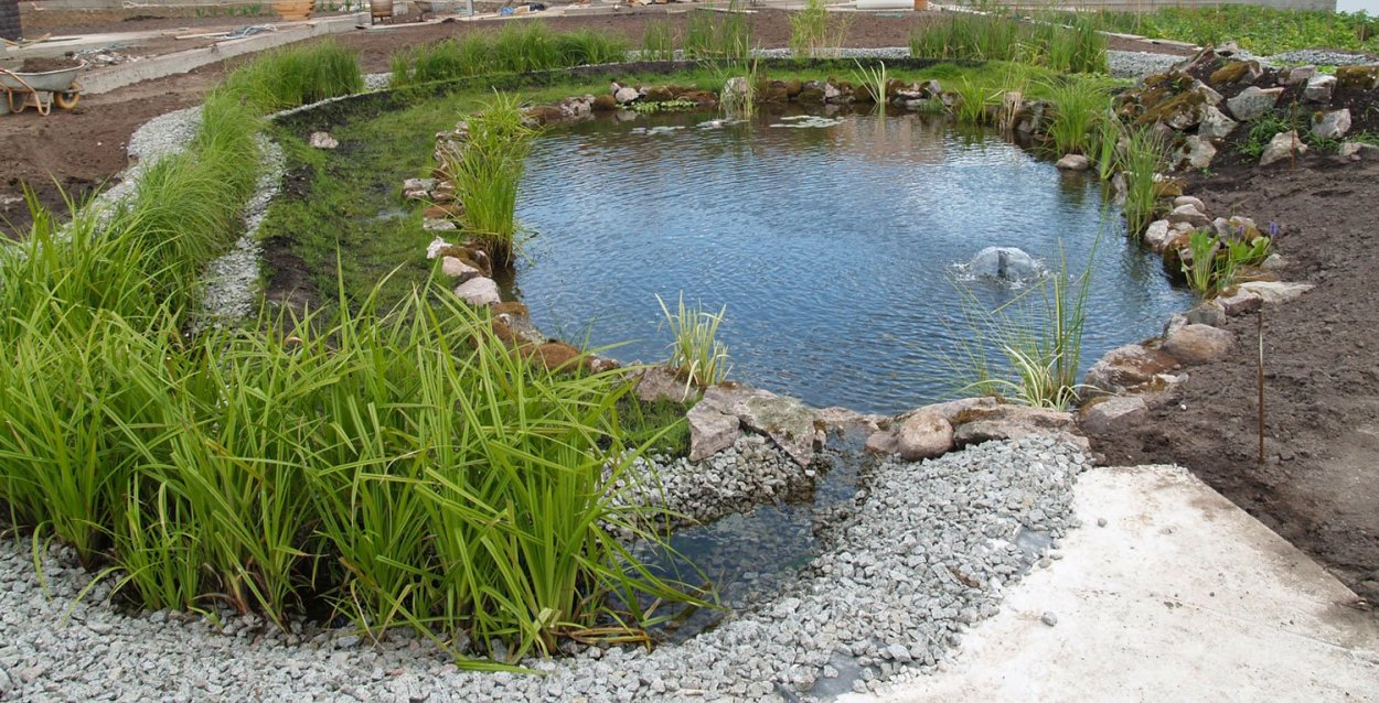 Декоративный пруд с биоплато