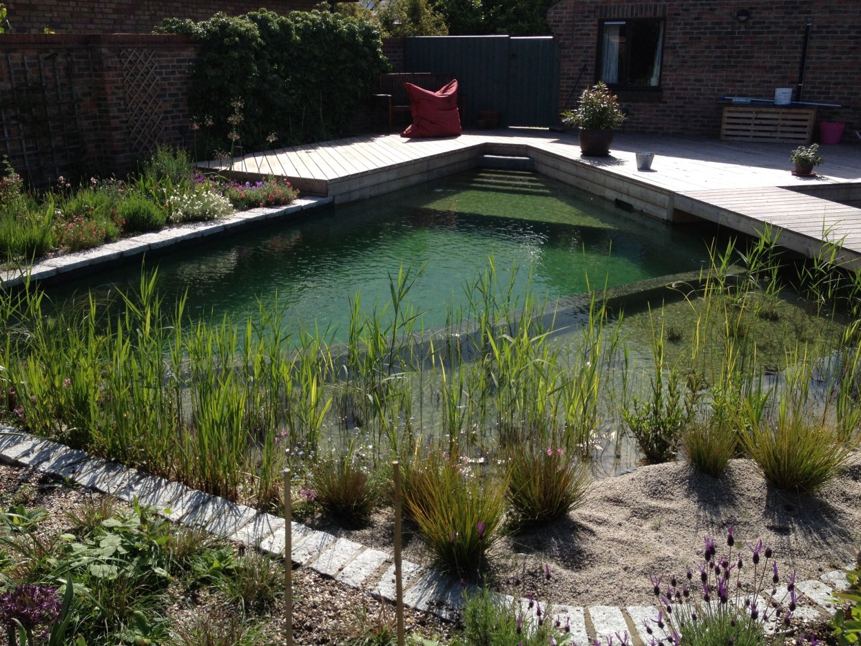 Пруд бассейн с биоплато