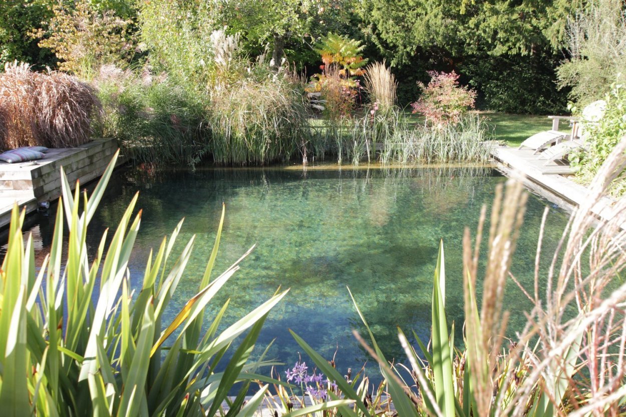 Биоплато для пруда