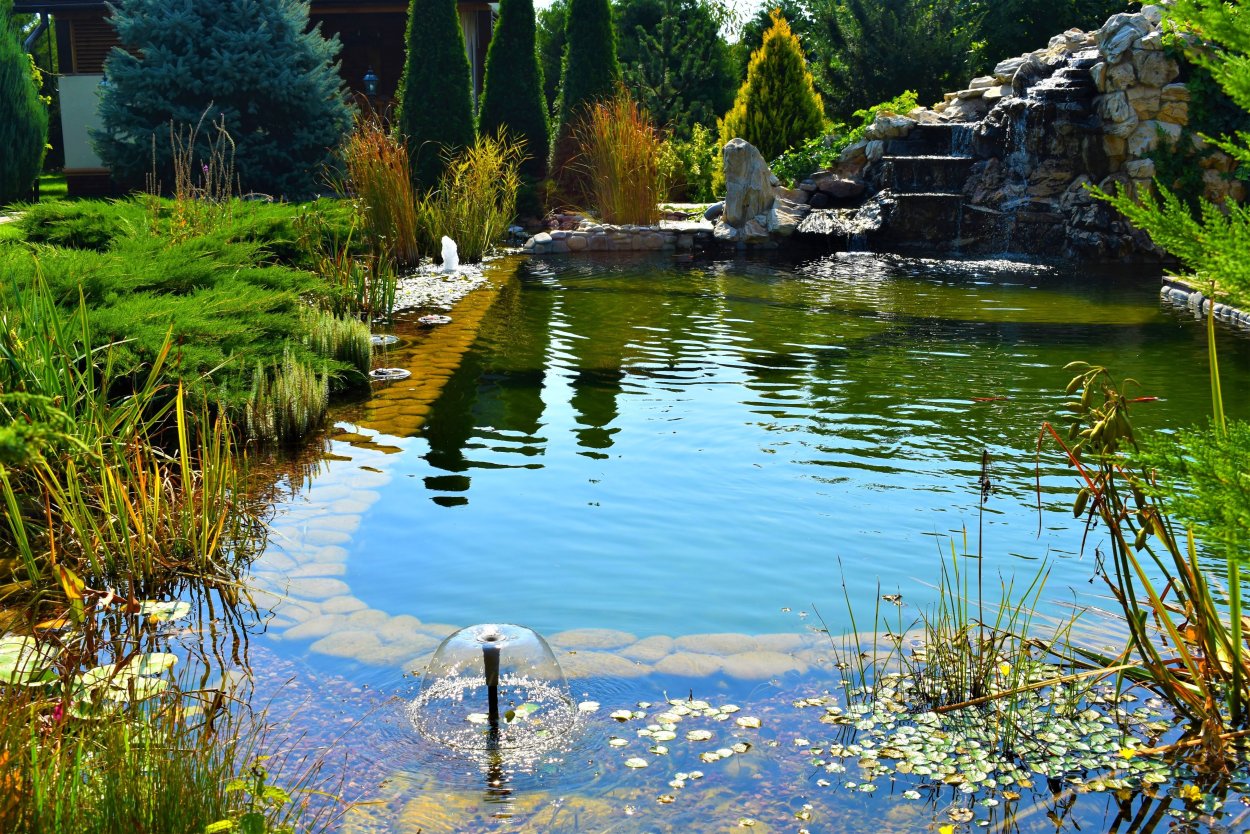 Биоплато для пруда