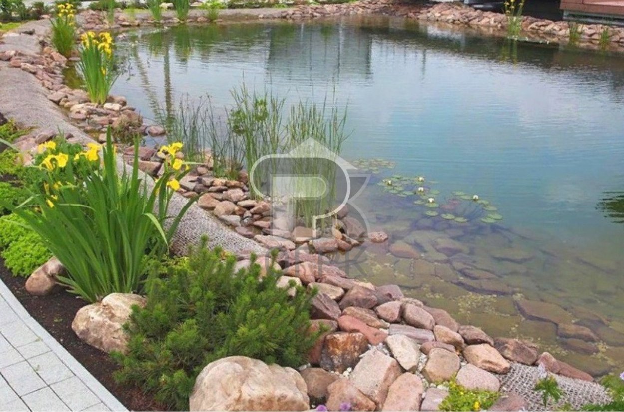 Ручей биоплато