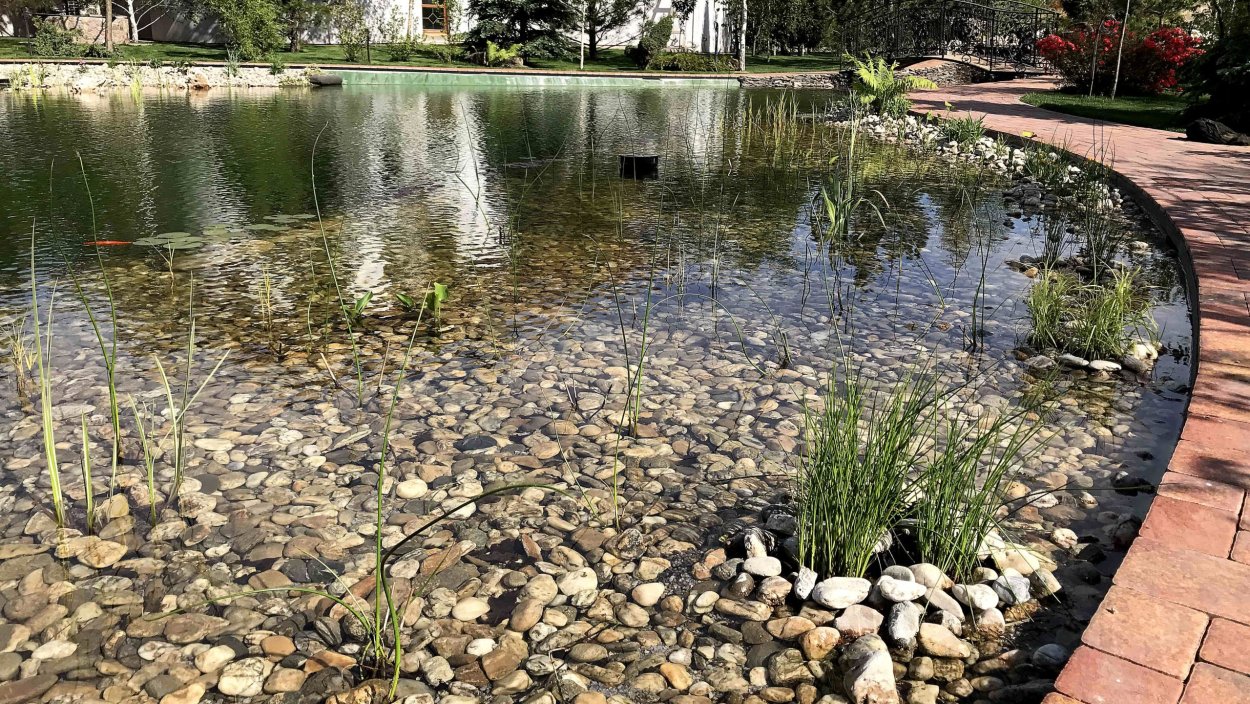 Плавательный пруд с биоплато