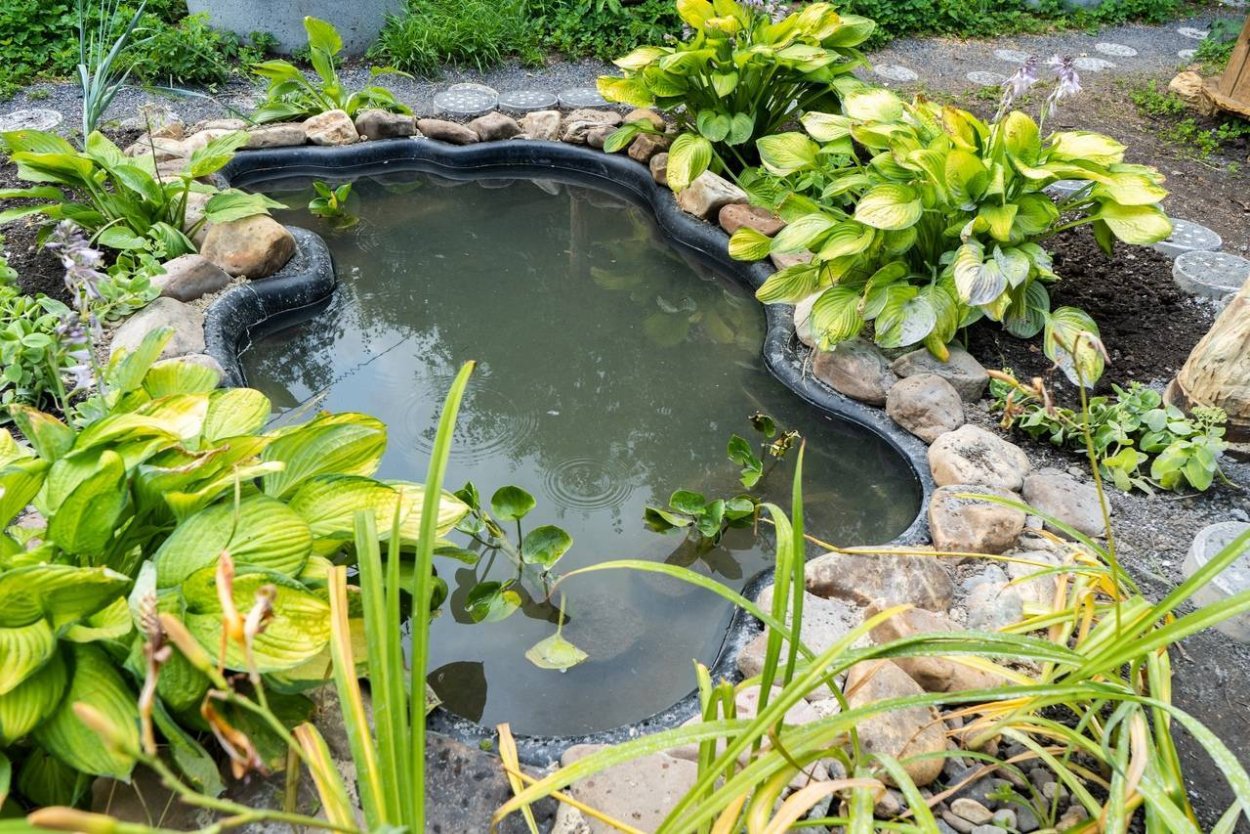 Декоративный пруд