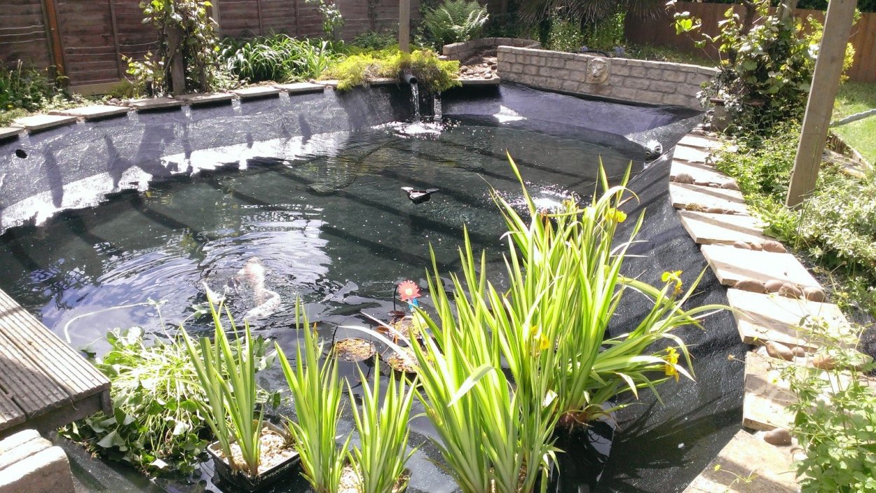 Дождевой сад на участке