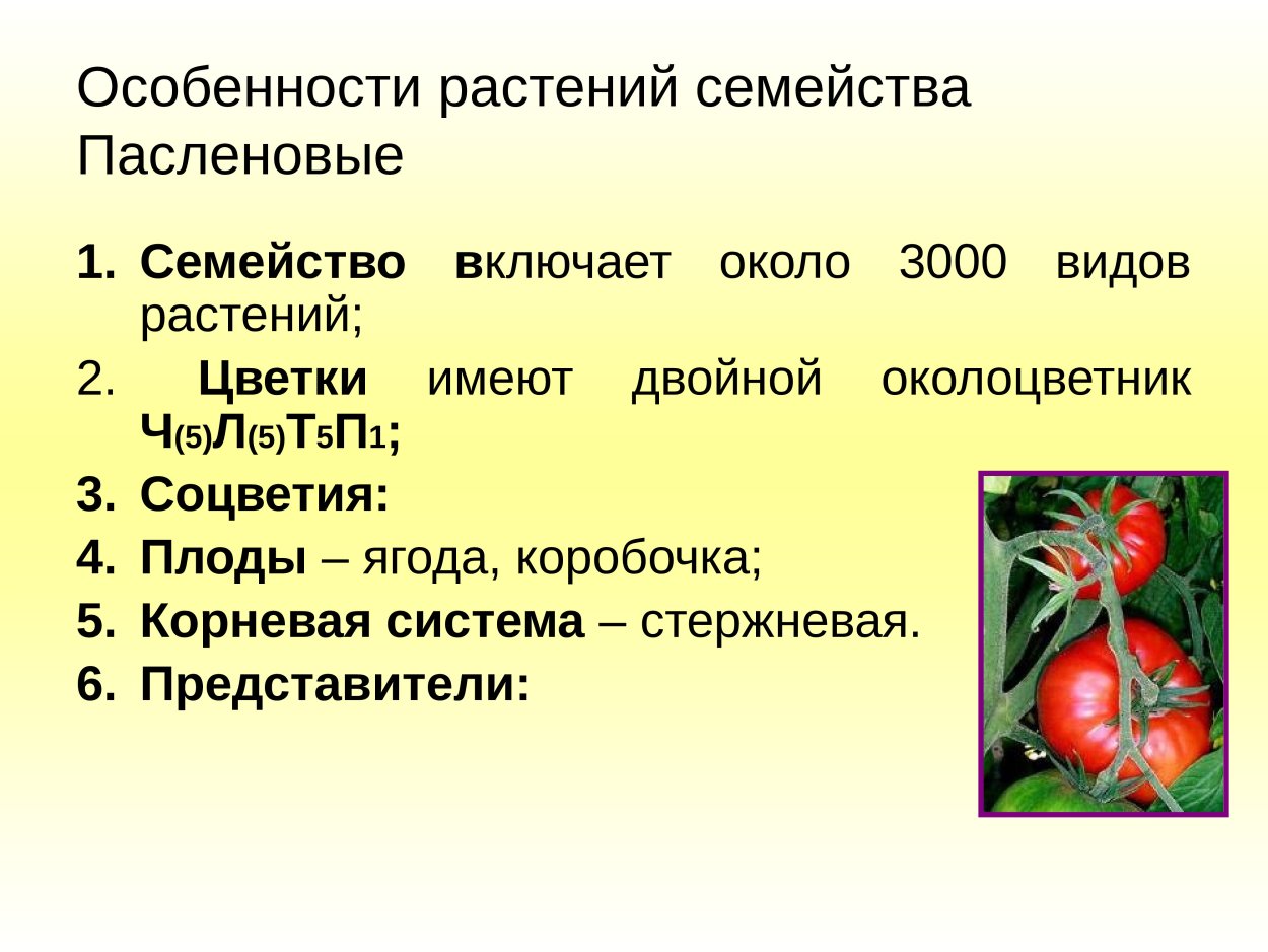 Типы плодов покрытосеменных растений