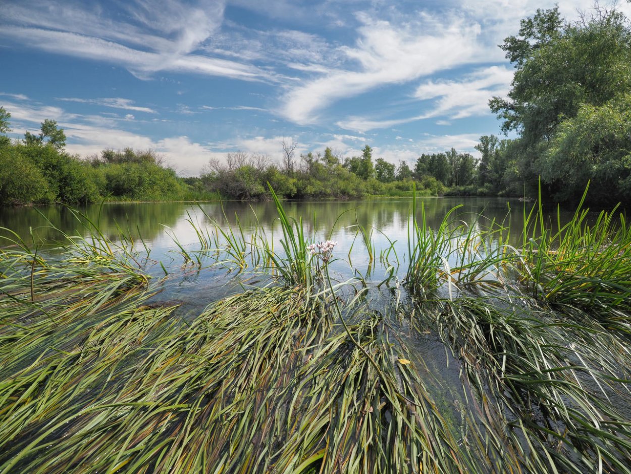 Река Тобол Курганская область