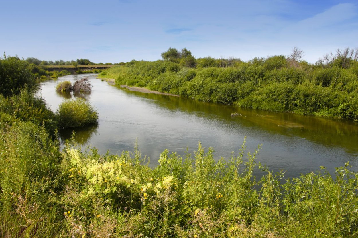 Курганская область реки Курганской области