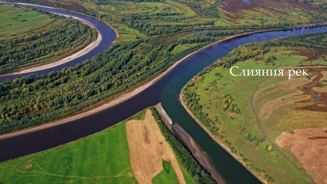 Водно-болотные угодья Ростовской области