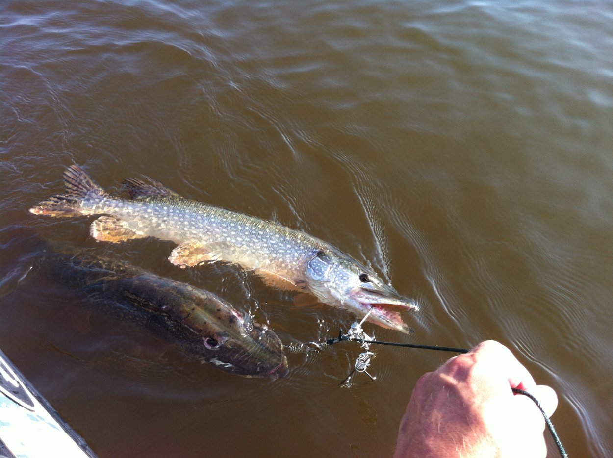 Нургушский заповедник буклет