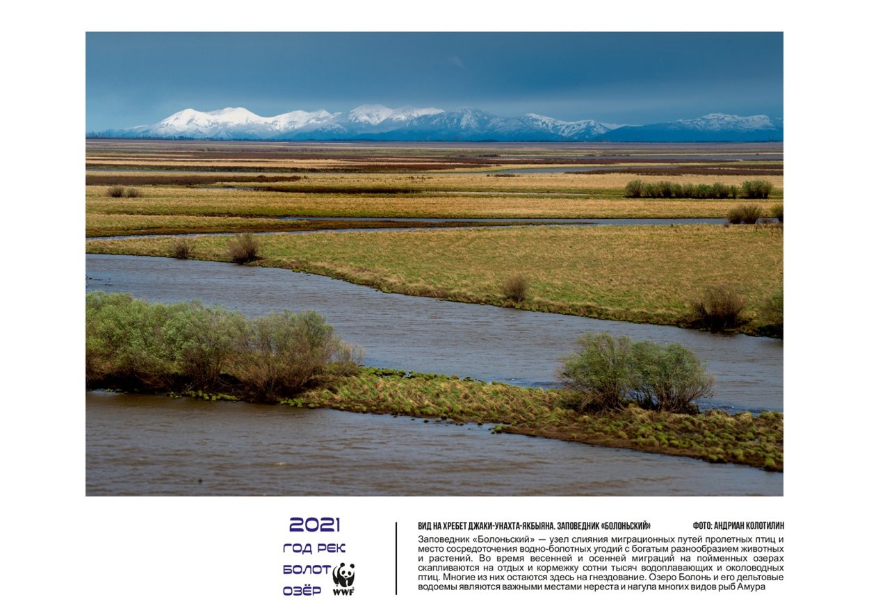 Хоперский заповедник Воронежской области Флора