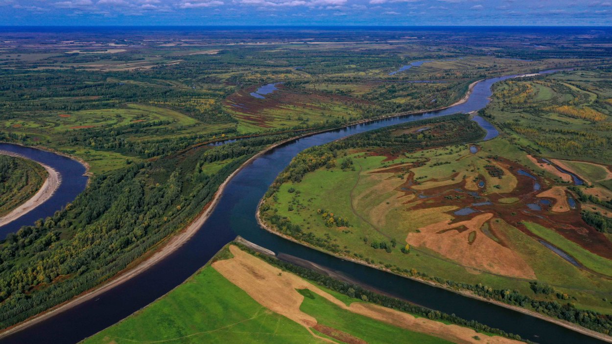 Растения и животные реки Дон